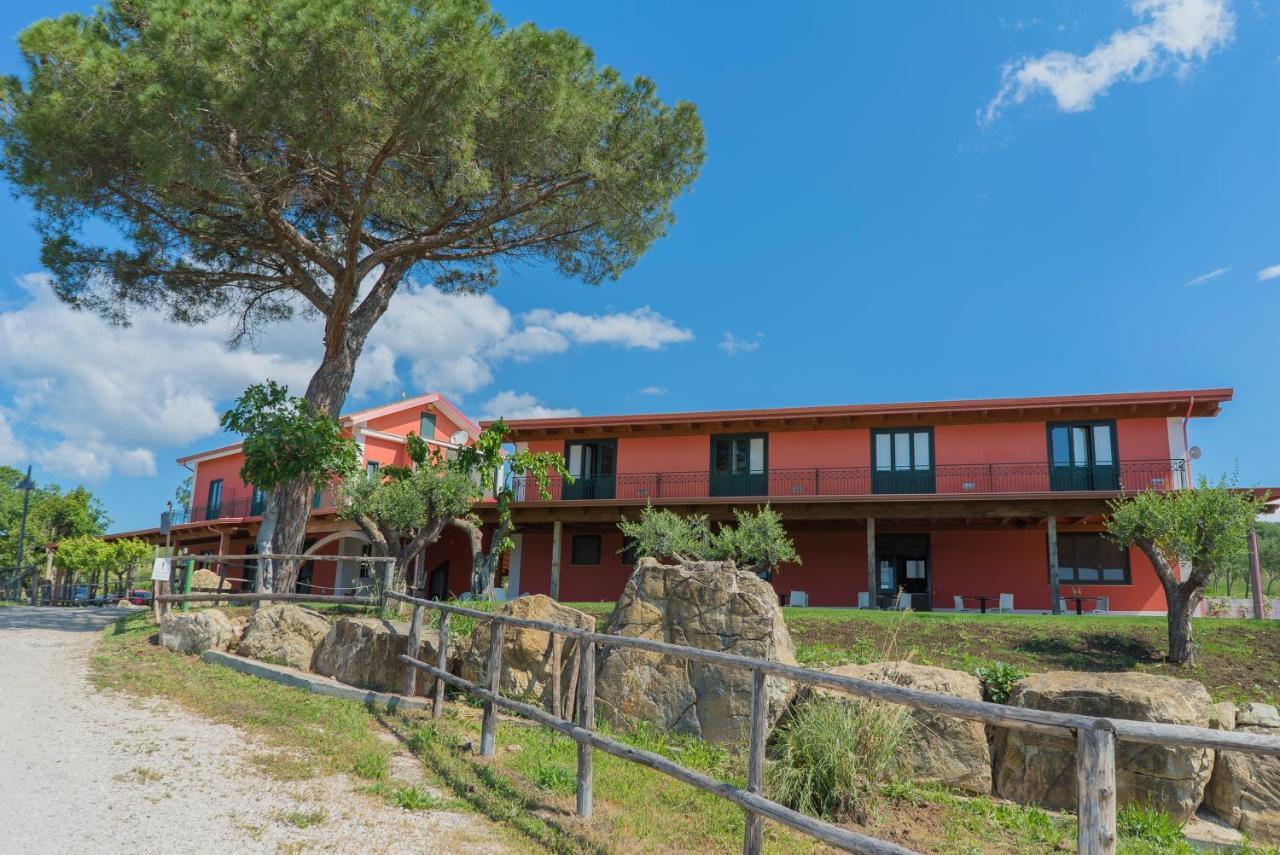 Terra Di Vento Bed & Breakfast Montecorvino Pugliano Dış mekan fotoğraf