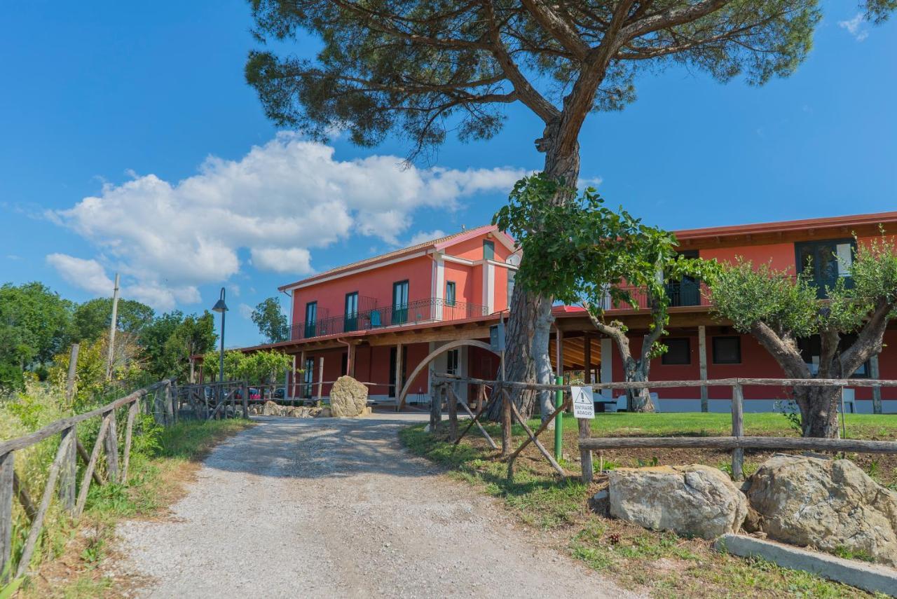 Terra Di Vento Bed & Breakfast Montecorvino Pugliano Dış mekan fotoğraf